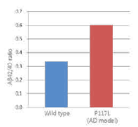 人iPS细胞来源的谷氨酸能神经元祖细胞