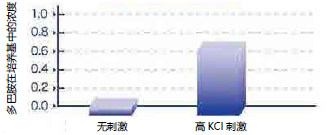 人iPS细胞来源的多巴胺神经细胞 ,人神经细胞疾病模型