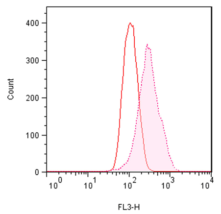 ProteoStat 蛋白聚集小体检测试剂盒