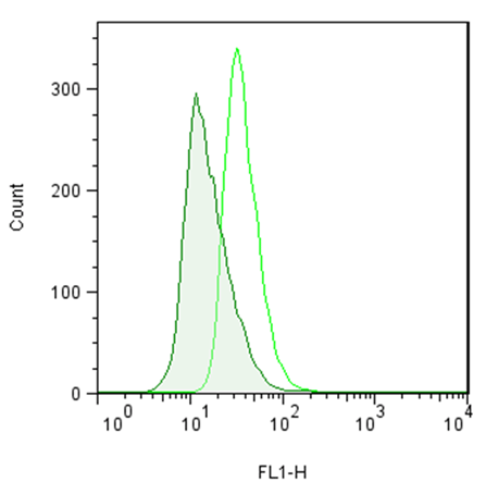 ProteoStat 蛋白聚集小体检测试剂盒