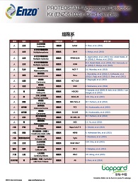 ProteoStat 蛋白聚集小体检测试剂盒