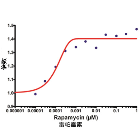 CYTO-ID® 自噬检测试剂盒