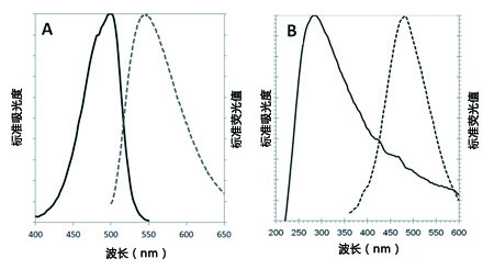 CYTO-ID® 自噬检测试剂盒 2.0