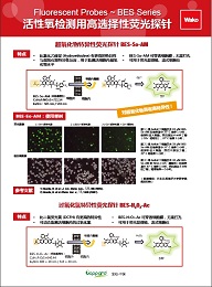 BES特异性荧光探针