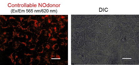 Controllable NOdonor