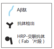 β-Amyloid ELISA 试剂盒