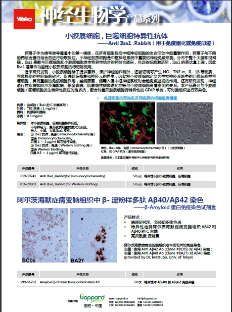 β-Amyloid ELISA 试剂盒