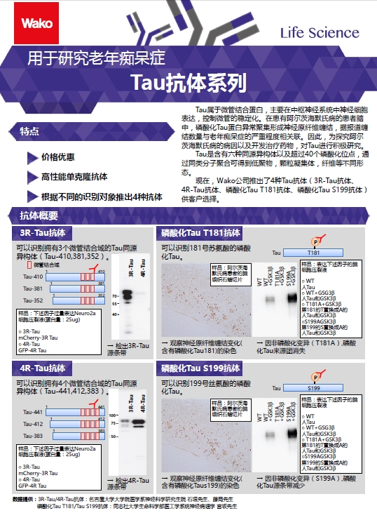 Tau抗体系列