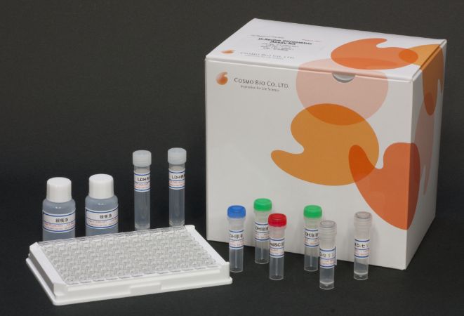 D- 丝氨酸比色法检测试剂盒
