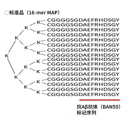 高分子β-淀粉样蛋白寡聚体 ELISA试剂盒Wako