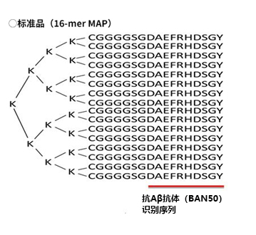 高分子β-淀粉样蛋白寡聚体ELISA试剂盒Wako Ver.2