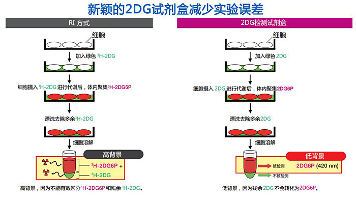 2-脱氧葡萄糖(2DG)摄入检测试剂盒