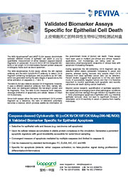 细胞凋亡M30 CytoDEATH™ 抗体