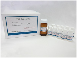 抗酒石酸酸性磷酸酶TRAP染色试剂盒