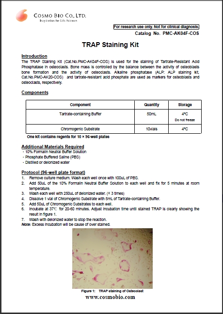 抗酒石酸酸性磷酸酶TRAP染色试剂盒