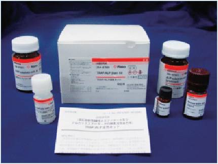 TRAP/ALP染色试剂盒