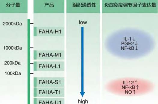 带有荧光标记的透明质酸系列产品