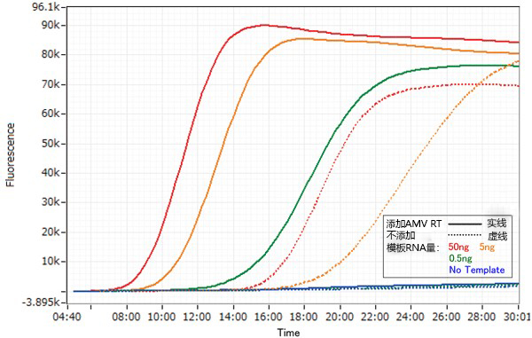 AMV Reverse Transcriptase