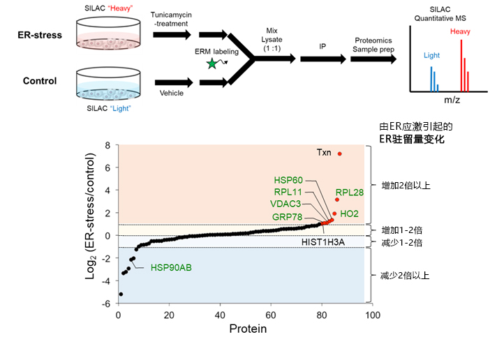 ER-Protein Capture Kit