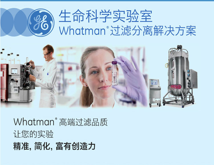 GE Whatman 沃特曼 Nuclepore径迹蚀刻膜110601、110602