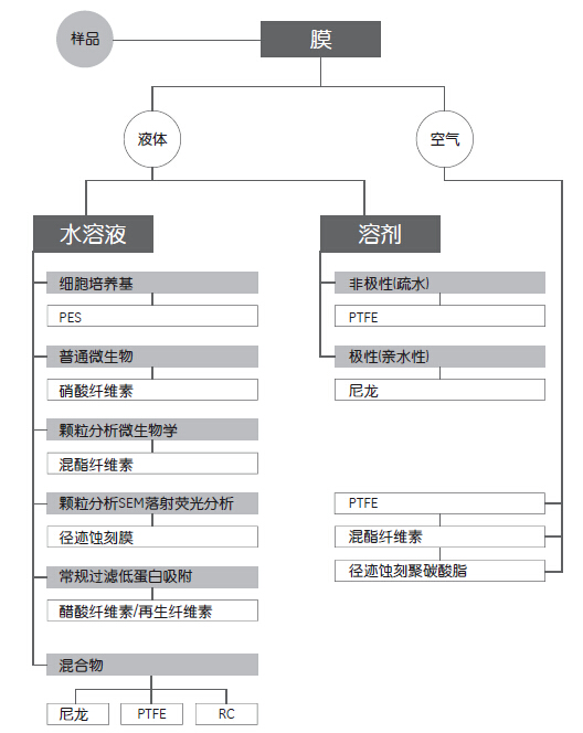 GE Whatman 沃特曼 滤膜