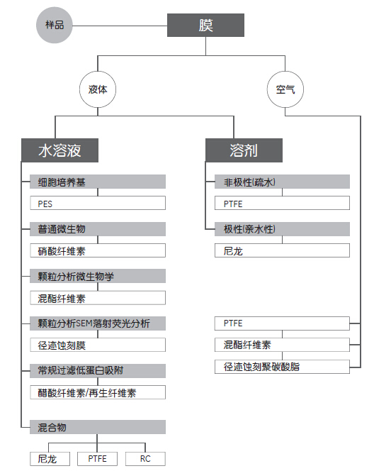 GE Whatman 沃特曼 滤膜