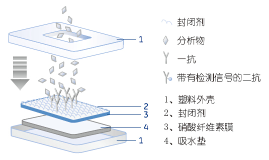 吸水垫CF6、CF7