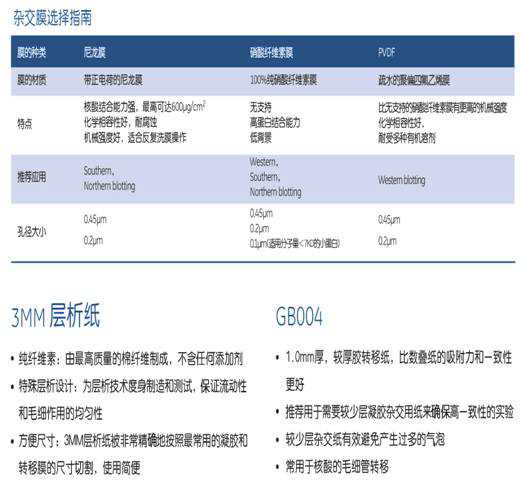 Whatman PVDF膜（0.45um 30cm*3m）转印膜10485289