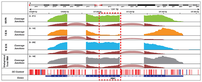 KAPA Stranded RNAseq 文库构建试剂盒 + RiboErase rRNA去除试剂盒