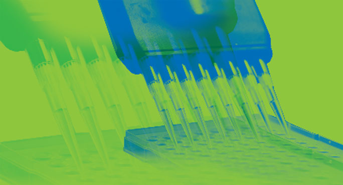 KAPA RNA Hyper 文库构建试剂盒 + RiboErase rRNA去除试剂盒