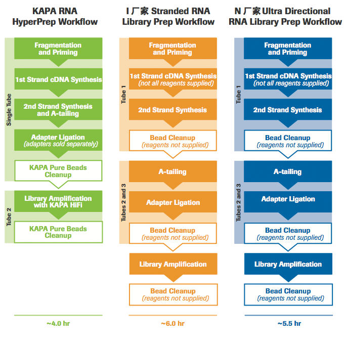 KAPA RNA Hyper 文库构建试剂盒