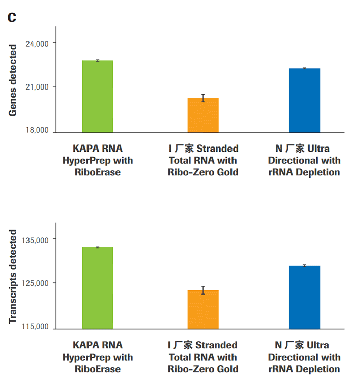 KAPA RNA Hyper 文库构建试剂盒