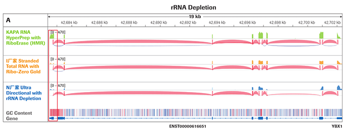 KAPA RNA Hyper 文库构建试剂盒