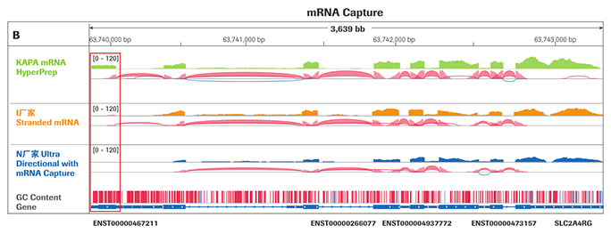 KAPA RNA Hyper 文库构建试剂盒