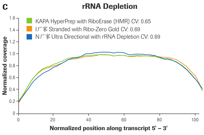 KAPA RNA Hyper 文库构建试剂盒