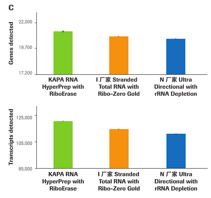 KAPA RNA Hyper 文库构建试剂盒