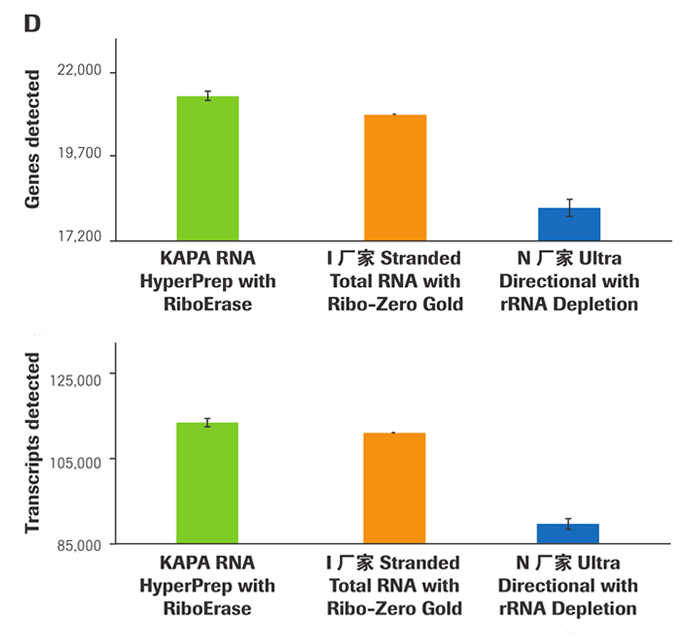 KAPA RNA Hyper 文库构建试剂盒