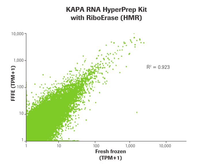 KAPA RNA Hyper 文库构建试剂盒