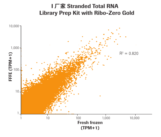 KAPA RNA Hyper 文库构建试剂盒