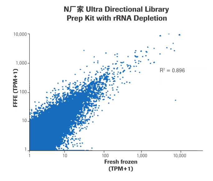KAPA RNA Hyper 文库构建试剂盒