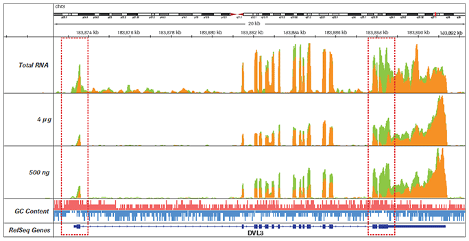 KAPA Stranded RNAseq 文库构建试剂盒 + mRNA 富集试剂盒