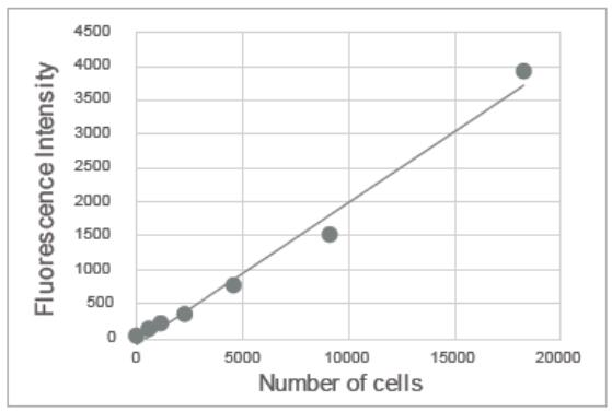 Cell Count Normalization Kit试剂盒货号：C544