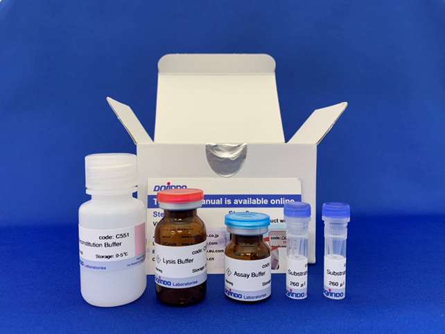 细胞凋亡检测试剂盒——Annexin V, FITC Apoptosis Detection Kit货号：AD10