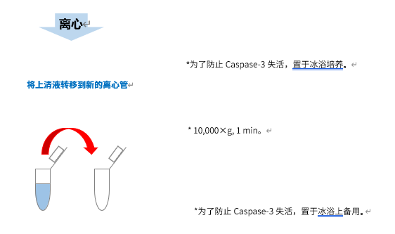 Caspase-3 Assay Kit -Colorimetric-试剂盒货号：C551