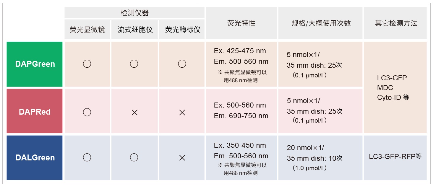 DAPGreen &#8211; Autophagy Detection 细胞自噬检测试剂货号：D676