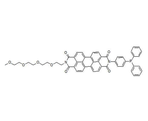 GPX4 Antibody——GPX4抗体货号:GPX4