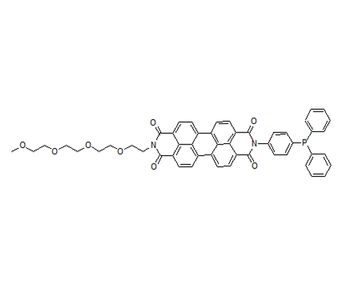 GPX4 Antibody——GPX4抗体货号：GPX4