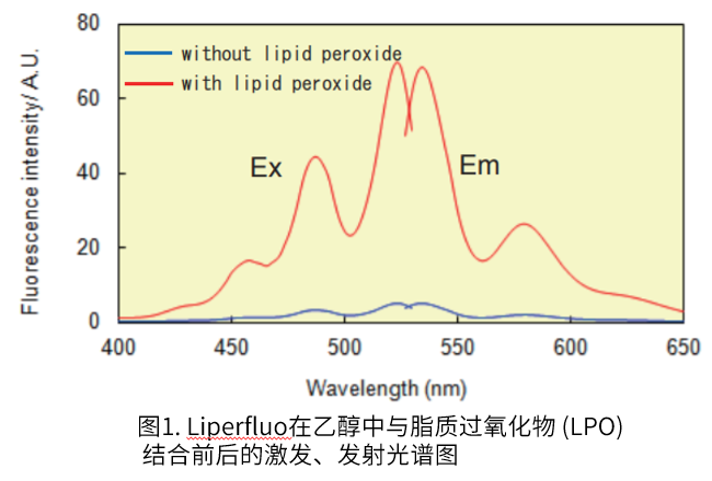 Liperfluo-细胞脂质过氧化物检测货号：L248