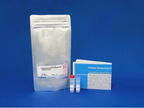 Cellular Senescence Plate Assay Kit &#8211; SPiDER-βGal试剂盒货号：SG05