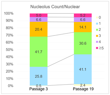 Nucleolus Bright Red试剂货号：N512